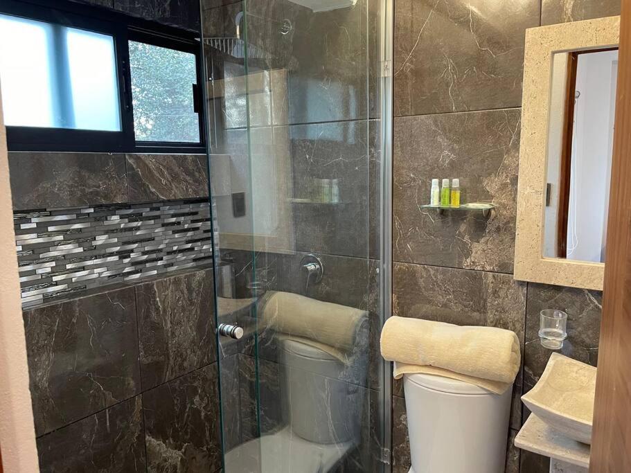Suites C O V A D O N G A Мехико Номер фото